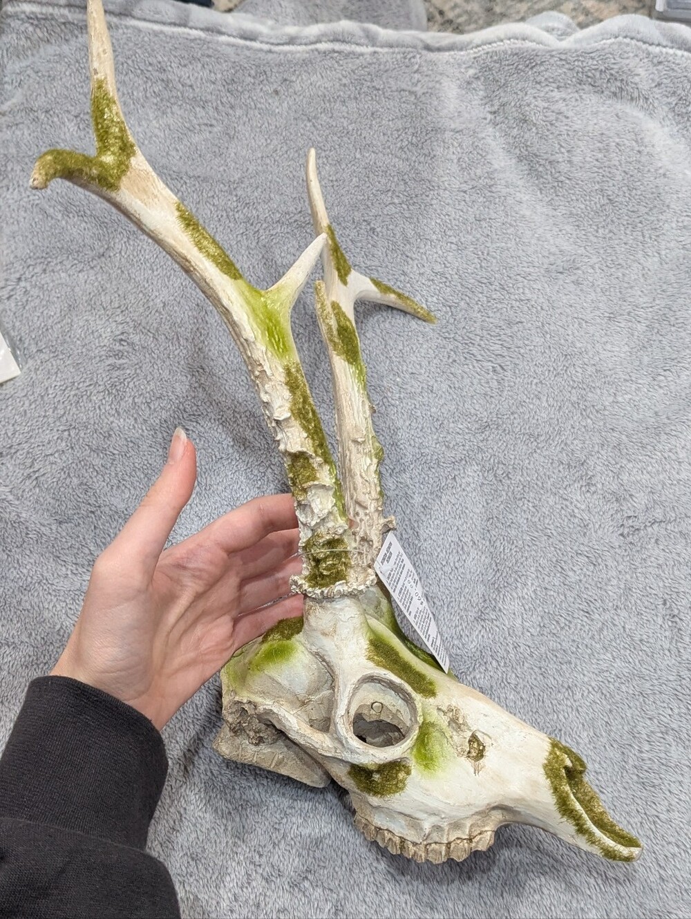 Reptile Skull Decor with Moss Accent